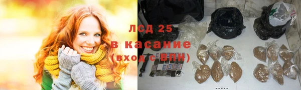 PSILOCYBIN Балахна