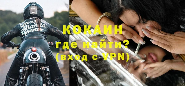 крисы Баксан