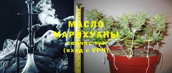крисы Баксан