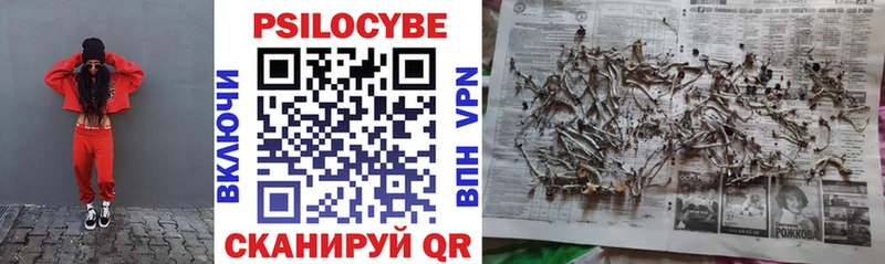 купить  сайты  omg как войти  Галлюциногенные грибы ЛСД  Купино 